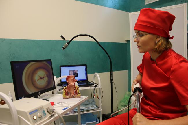 zolotko.jpg zolotko.jpg